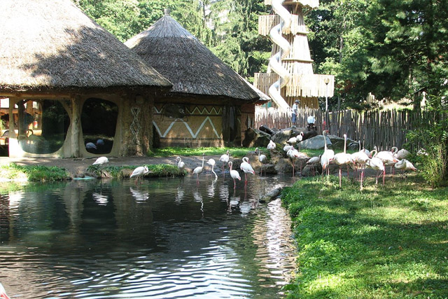 ZOO Jihlava